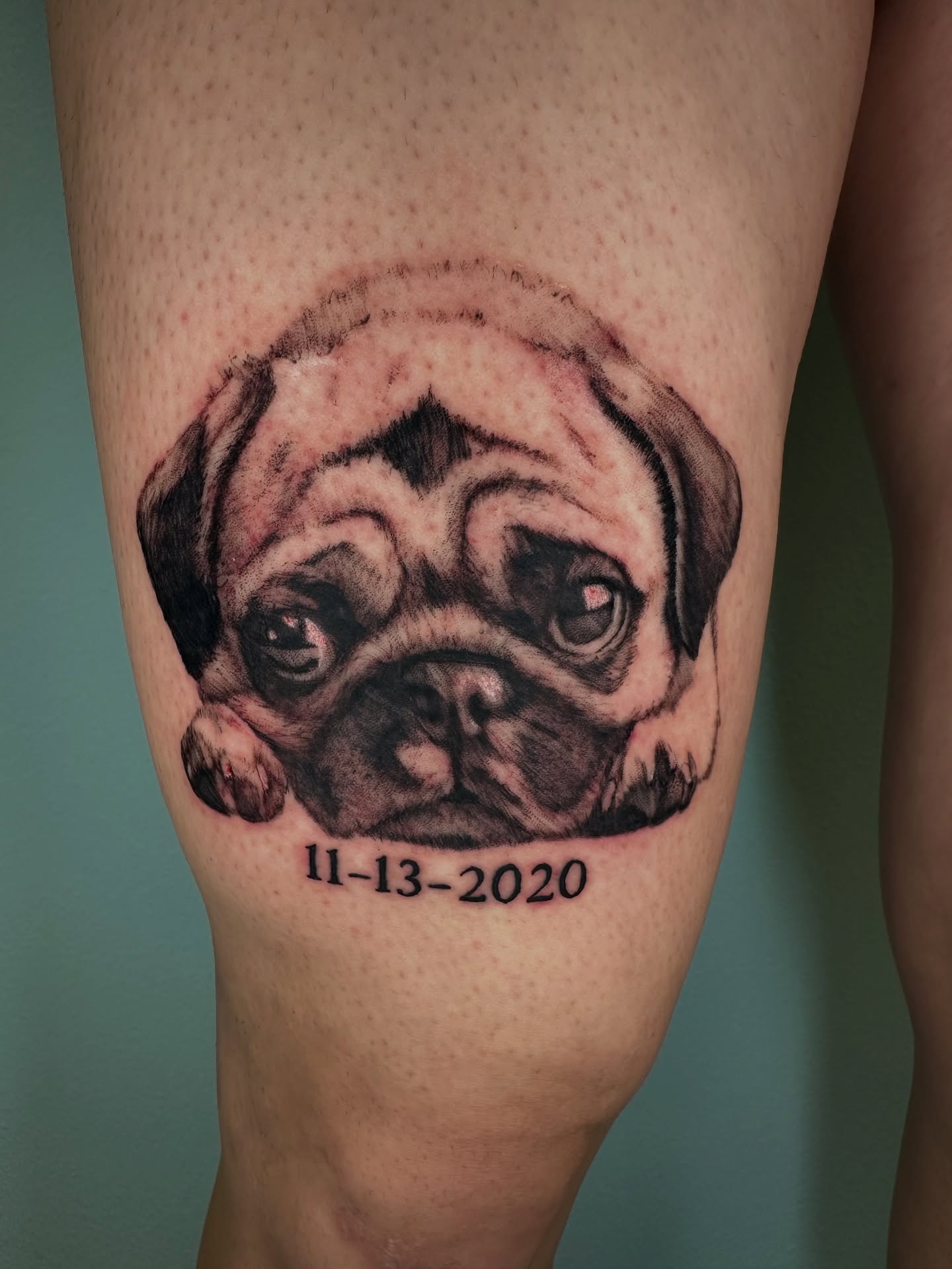 Trent portfolio piece 17